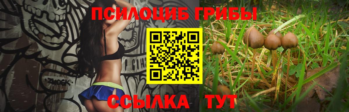 Галлюциногенные грибы MAGIC MUSHROOMS  Псилоцибиновые грибы мицелий  Вход с VPN  Орск 