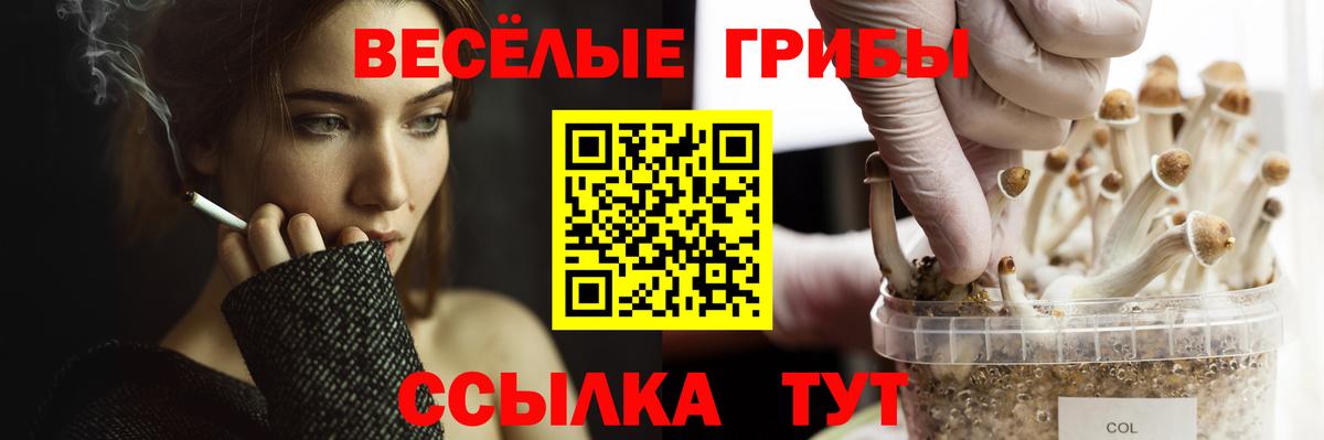 Псилоцибиновые грибы GOLDEN TEACHER Орск